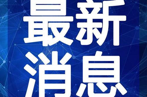 许愿夺宝最新爆料视频,神秘宝藏即将揭晓，夺宝大战一触即发！